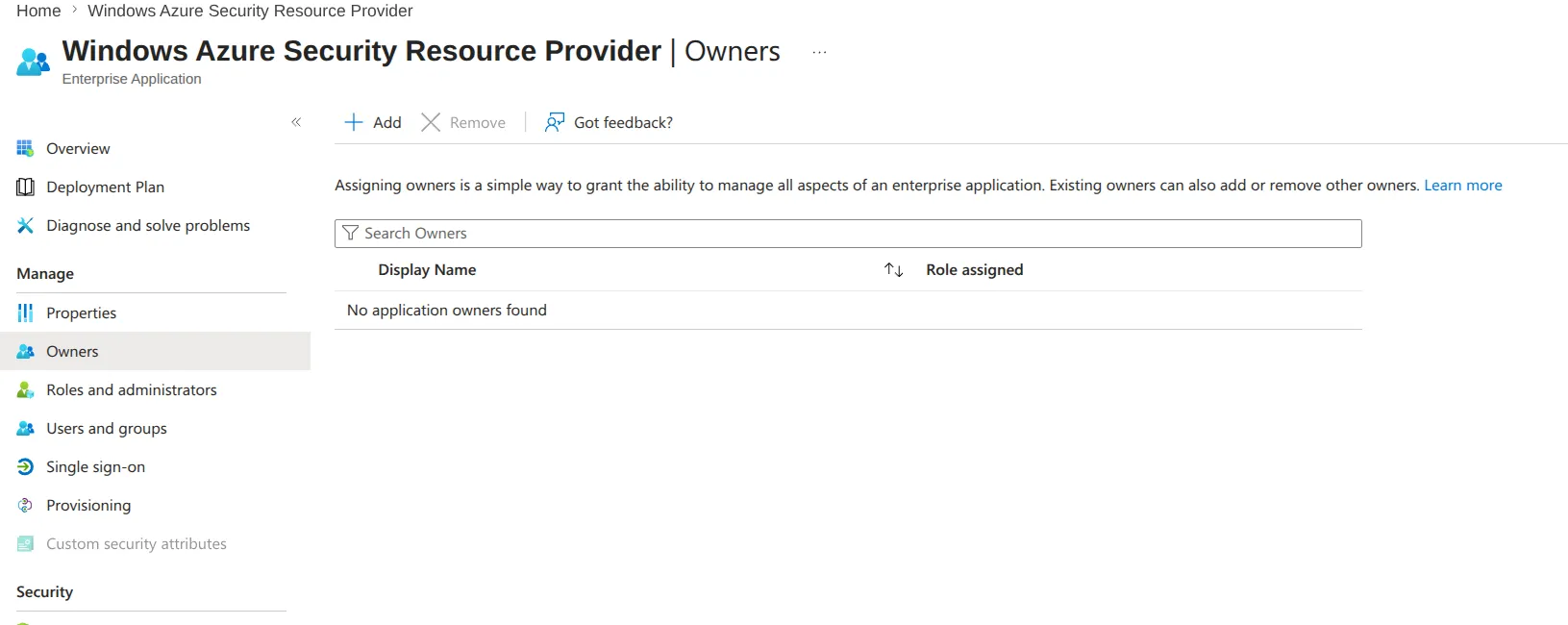 Service principal owner